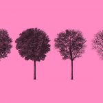 4 trees representing each season on pink background